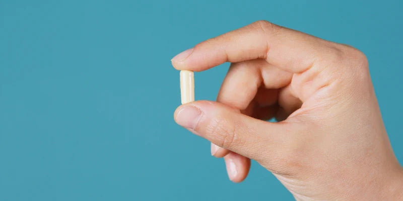 gelatine porcine bovine marine gelules nutrilogist laboratoire de complements alimentaires full service marque blanche