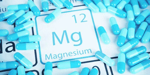 Magnesium fournisseur nutrilogist complements alimentaires